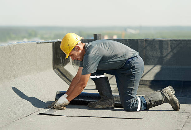 Best Cellulose Insulation in Rkside, PA